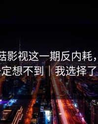 看完蘑菇影视这一期反内耗，我真的你一定想不到｜我选择了离开