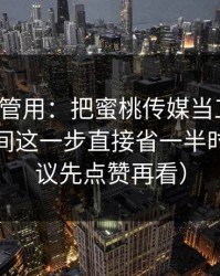 冷门但管用：把蜜桃传媒当工具用：节省时间这一步直接省一半时间（建议先点赞再看）
