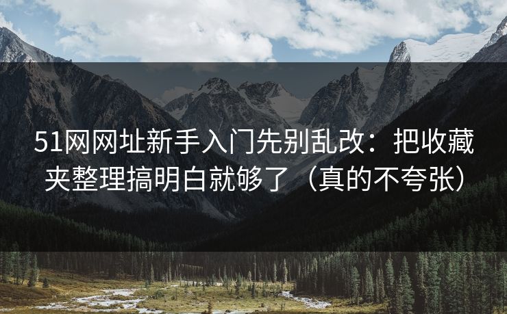 51网网址新手入门先别乱改：把收藏夹整理搞明白就够了（真的不夸张）