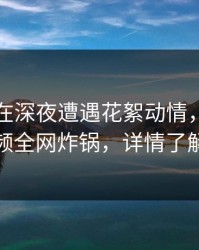 当事人在深夜遭遇花絮动情，樱桃视频全网炸锅，详情了解