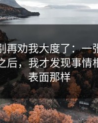 真的，别再劝我大度了：一张被转发的截图之后，我才发现事情根本不是表面那样