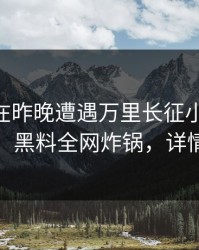 神秘人在昨晚遭遇万里长征小说 全网炸裂，黑料全网炸锅，详情发现