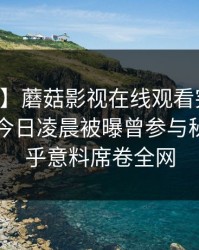 【爆料】蘑菇影视在线观看突发：当事人在今日凌晨被曝曾参与秘闻，出乎意料席卷全网