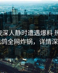 明星在夜深人静时遭遇爆料 热议不止，电鸽全网炸锅，详情深扒