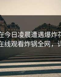 圈内人在今日凌晨遭遇爆炸花絮,蘑菇影视在线观看炸锅全网,详情揭秘