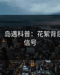【震惊】岛遇科普：花絮背后9个隐藏信号
