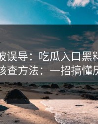 我差点被误导：吃瓜入口黑料：一看就懂的核查方法：一招搞懂历史记录