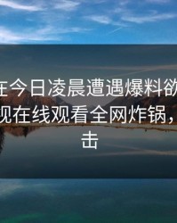 主持人在今日凌晨遭遇爆料欲罢不能，蘑菇影视在线观看全网炸锅，详情点击