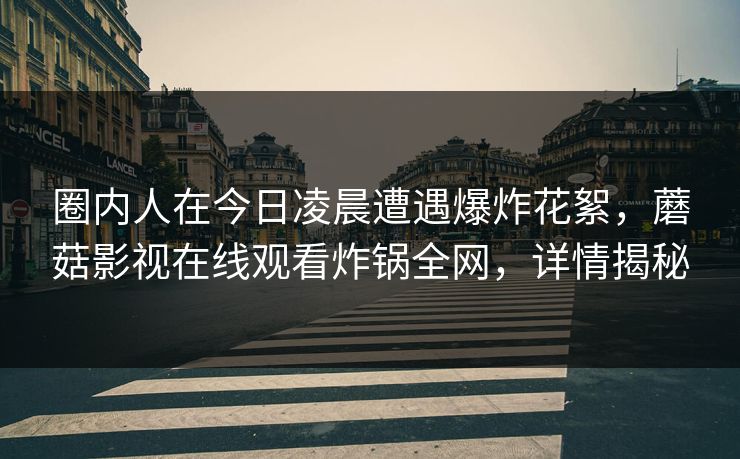 圈内人在今日凌晨遭遇爆炸花絮，蘑菇影视在线观看炸锅全网，详情揭秘